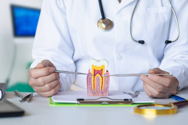  Slippery Rock University, PA Emergency Dentist Pros